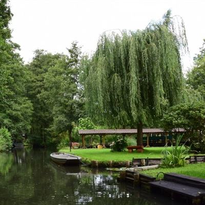 hg8868体育皇冠地址截图