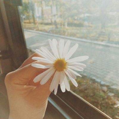 澳门威斯尼斯WNS888入口app下载